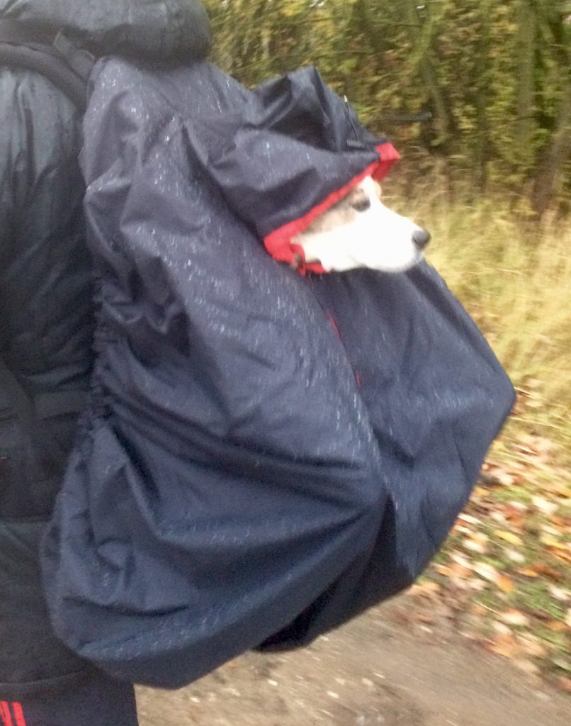 Regenschutz für XXL DOG CARRIER Ausverkauft Dog Carrier