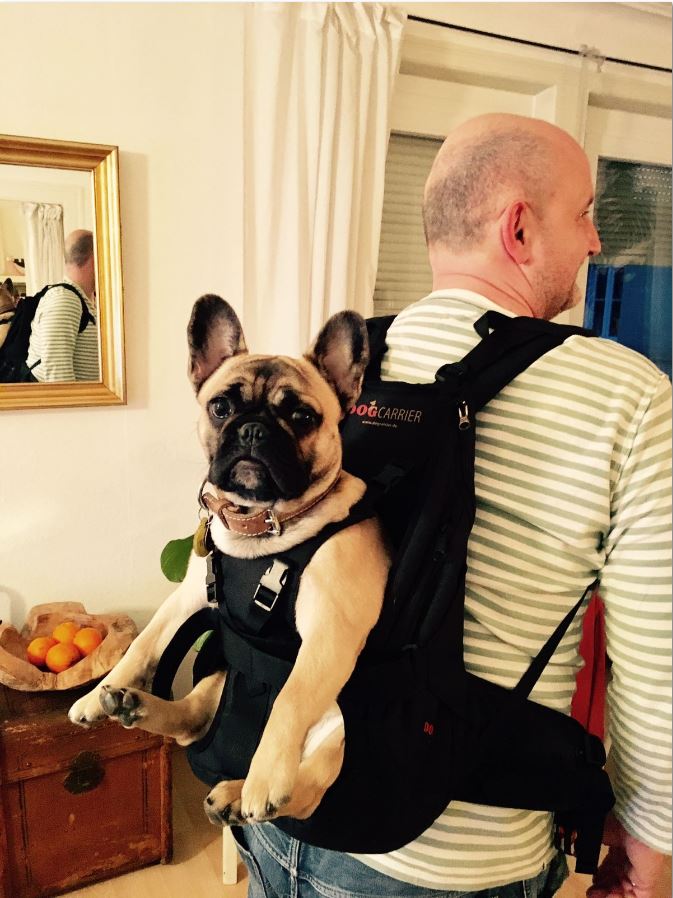 Dog backpack by Dog Carrier