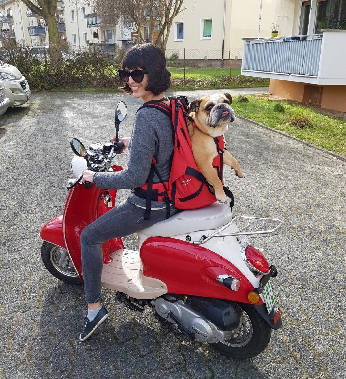 Kundenalbum-Hunderucksack Dog Carrier im Einsatz