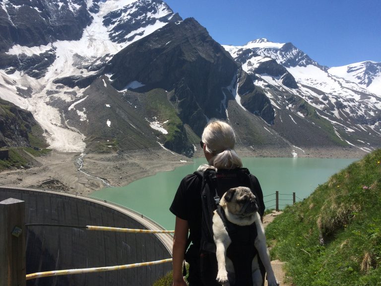 Hunderucksack im Alttag bzw. Urlaub