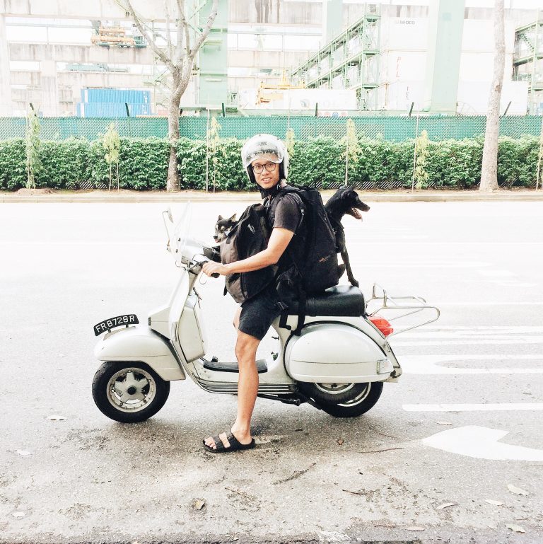 Rucksack zum Tragen von Hunden