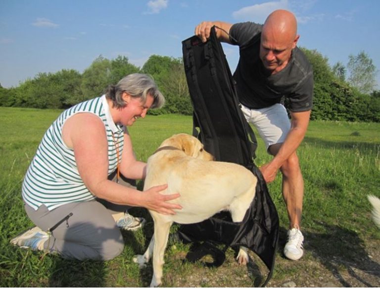 Hundetragerucksack