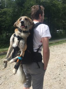 Rucksack zum Tragen von Hunden von Dog Carrier