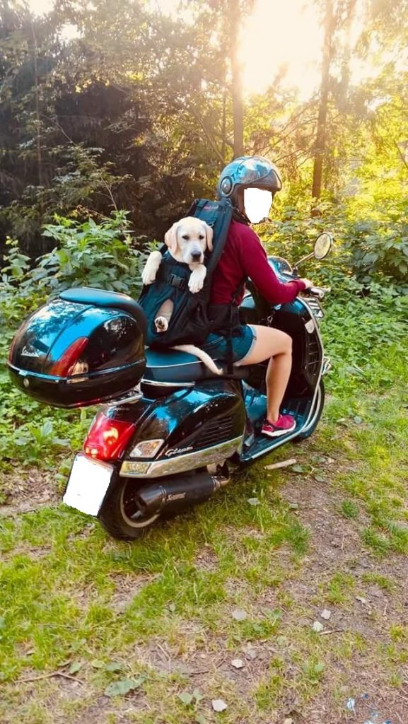 Hundetragerucksack XXL bis 30kg Gewicht