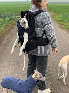Backpack/dog/dog bag/dog box for heavy dogs