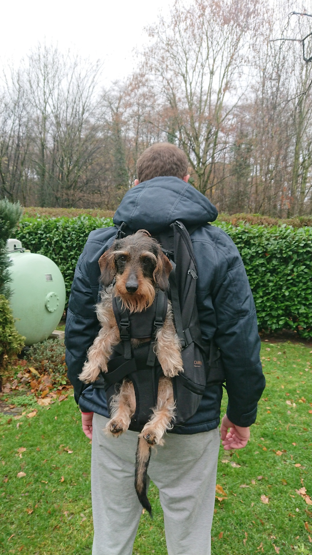 The dog bag as a backpack for dogs/dog backpack for carrying dogs up to 30kg