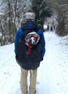 Regenschutz für DOG CARRIER BIG + BIG&SLIM wärmeisoliert
