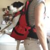DOG CARRIER SMALL&SLIM for slim dogs 5-10kg - back length until 43cm