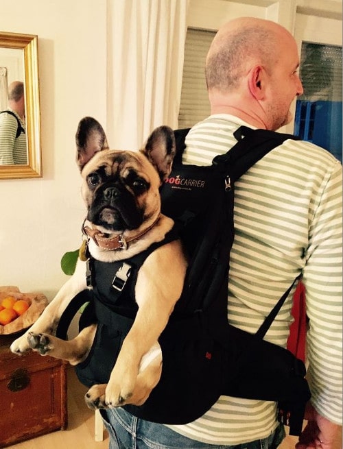Hunderucksack für Hunde von 5-10kg