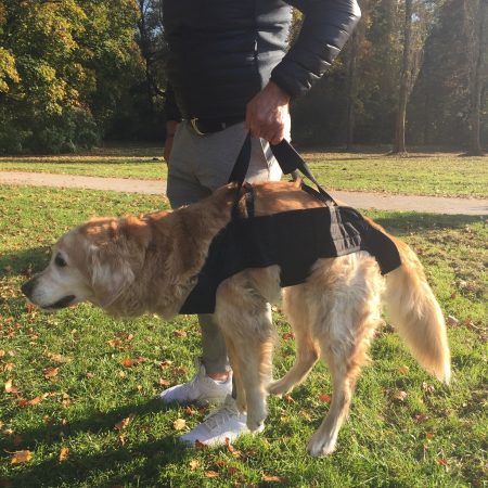 Dog Carrier This dog carrier medical harness f your dog is designed to help you&your dog to overcome difficult obstacles or to support walking after surgery or in old age
