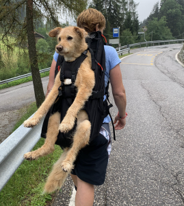 Bewertungen Hunderucksack Dog Carrier