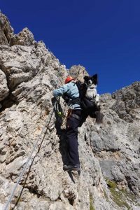 Rucksack für Hunde zum Klettern