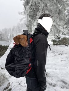 Wischler im Rucksack