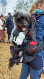 Hundetrage