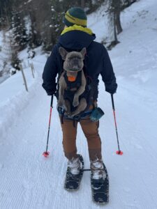 Rucksack für Hunde Rucksack zum Tragen von Hunden