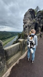 Hundetrage unterschiedliche größen