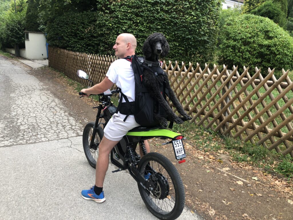 DOG CARRIER Hunderucksack zum Tragen von Hunden bis 30kg auf dem E-Scooter / Roller / Motorroller / Motorrad