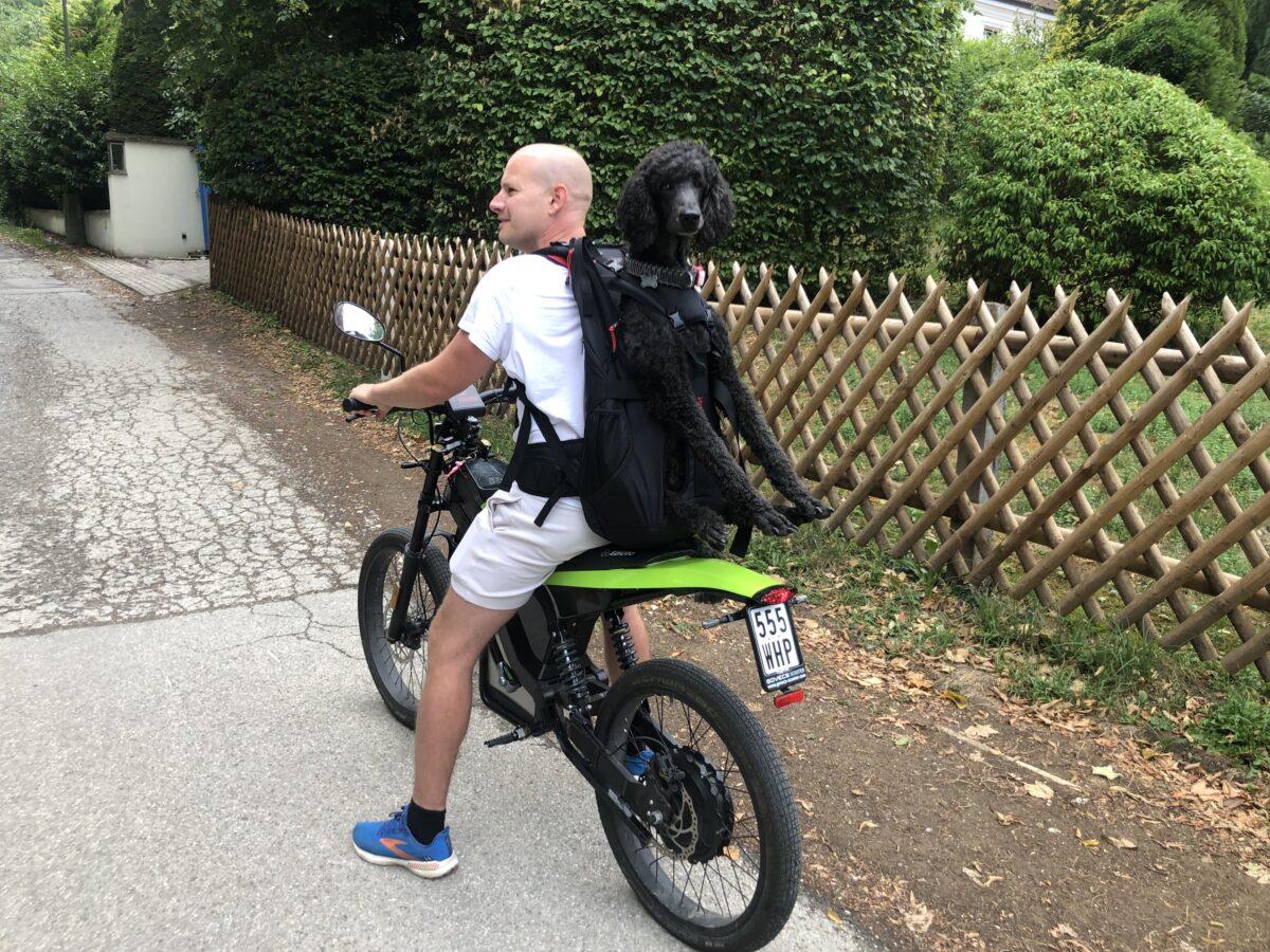 DOG CARRIER Hunderucksack zum Tragen von Hunden bis 30kg auf dem E-Scooter / Roller / Motorroller / Motorrad