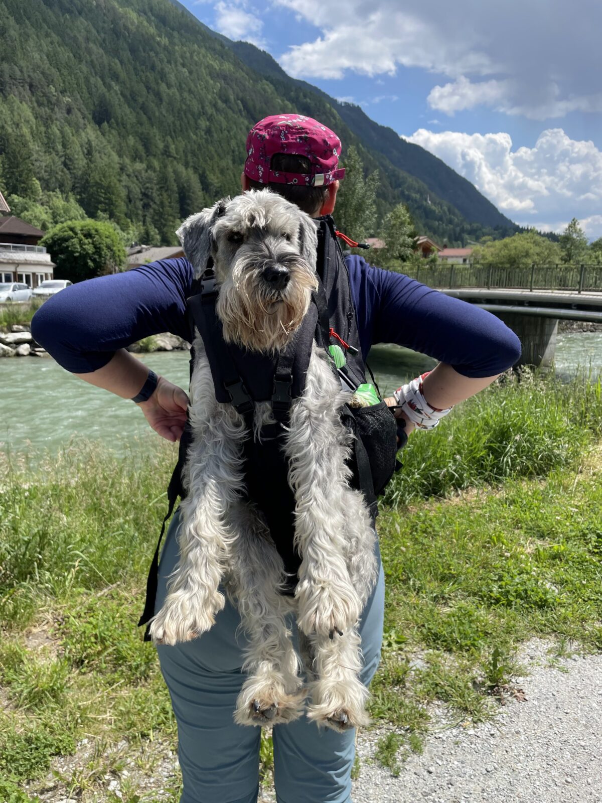 Dog Carrier Hundetrage