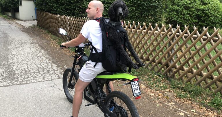 DOG CARRIER Hunderucksack zum Tragen von Hunden bis 30kg auf dem E-Scooter / Roller / Motorroller / Motorrad