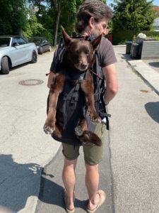 Hunderucksack für große Hunde