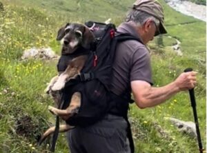 Leg Free Dog Carrier