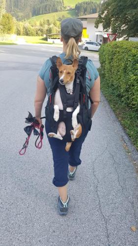 Dog Carrier Hundetasche